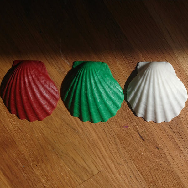Seashells